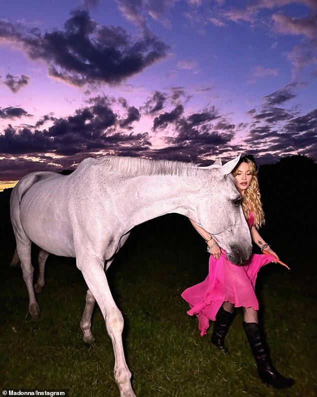 The superstar walked with his horse.