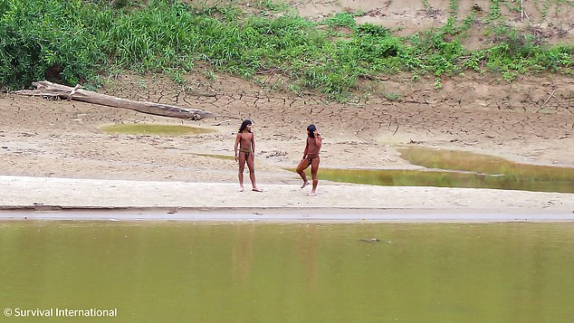 Rare photos show the tribe emerging from the rainforest and interacting on the riverbanks (June photo)