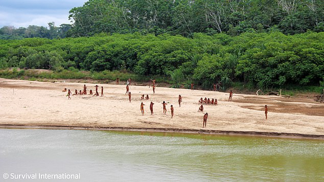 The tribe rarely interacts even with other tribes and remains isolated in a small territory in southeastern Peru (pictured in June).