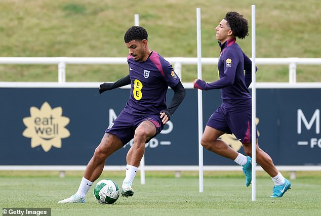 If Gibbs-White behaves well off the pitch, England will have some players