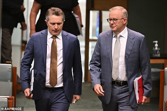 Labor's higher education policy will severely damage Australia's second-largest export industry (photo: Education Minister Jason Clare and Premier Anthony Albanese)