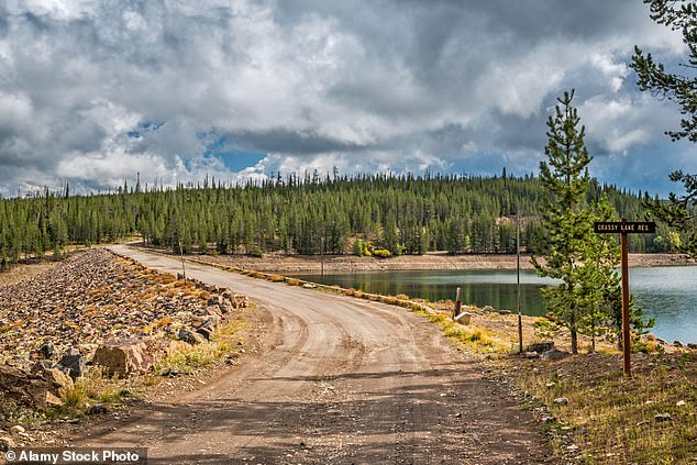 The duo was hunting in the Caribou-Targhee National Forest near Divide Creek Road on Sunday when the bear attacked them from a 