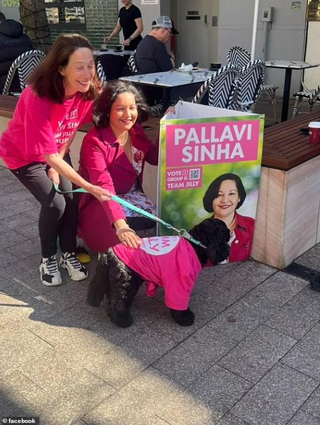 Jilly Gibson has campaigned for independent candidate and Milsons Point lawyer Pallavi Sinha to become the new mayor of North Sydney.