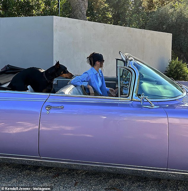 Kendall has also been spotted with a 1960 Cadillac Eldorado, which is estimated to be worth around $220,000, according to The Sun (she's pictured in the Eldorado with her dog Pyro).