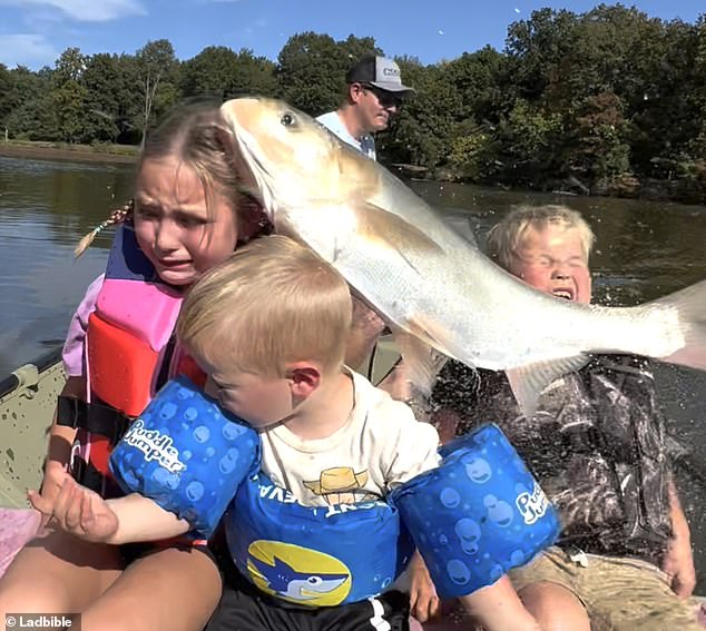 Catch of the day! Kamikaze carp hits Henry (right) in the face as his older sister Reece (left) cries