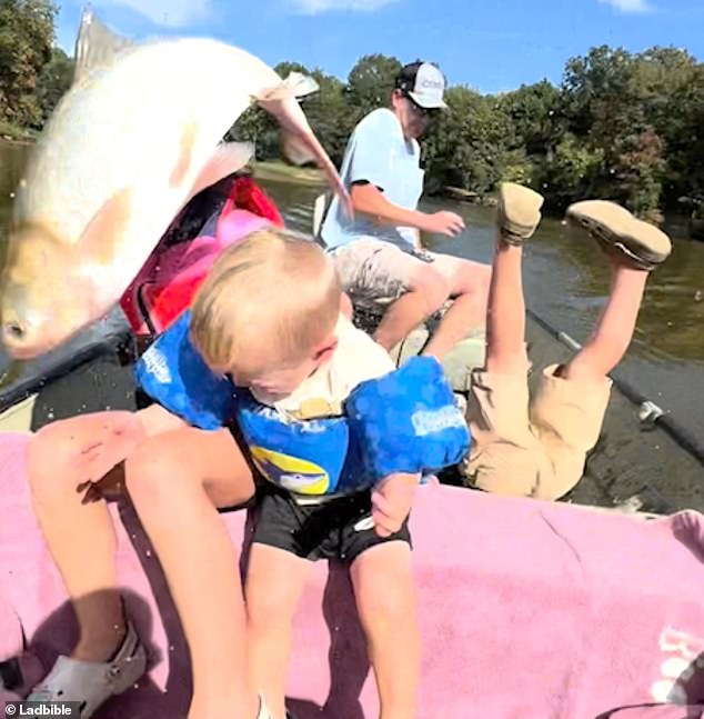 Reece (left), a second-grader, and the couple's youngest son, Thomas (center), were also hit by the fish. Henry (right) dropped to the floor of the boat near his father after the carp hit him in the face.