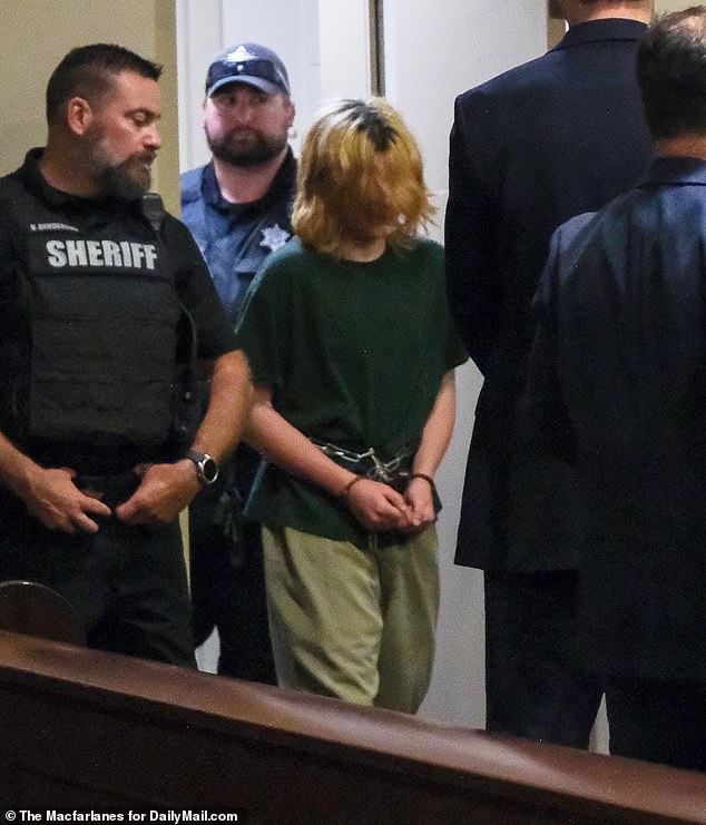 Georgia school shooter Colt Gray made his first court appearance Friday