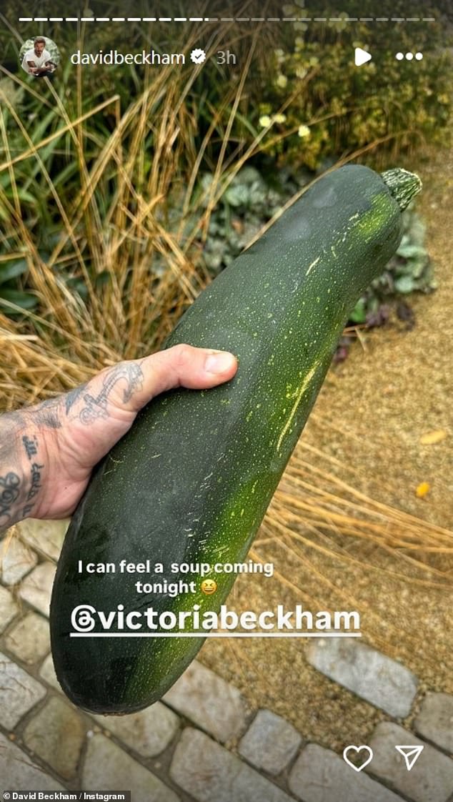 The star shared a photo of an equally large zucchini as he joked with his wife Victoria Beckham, 50, that 