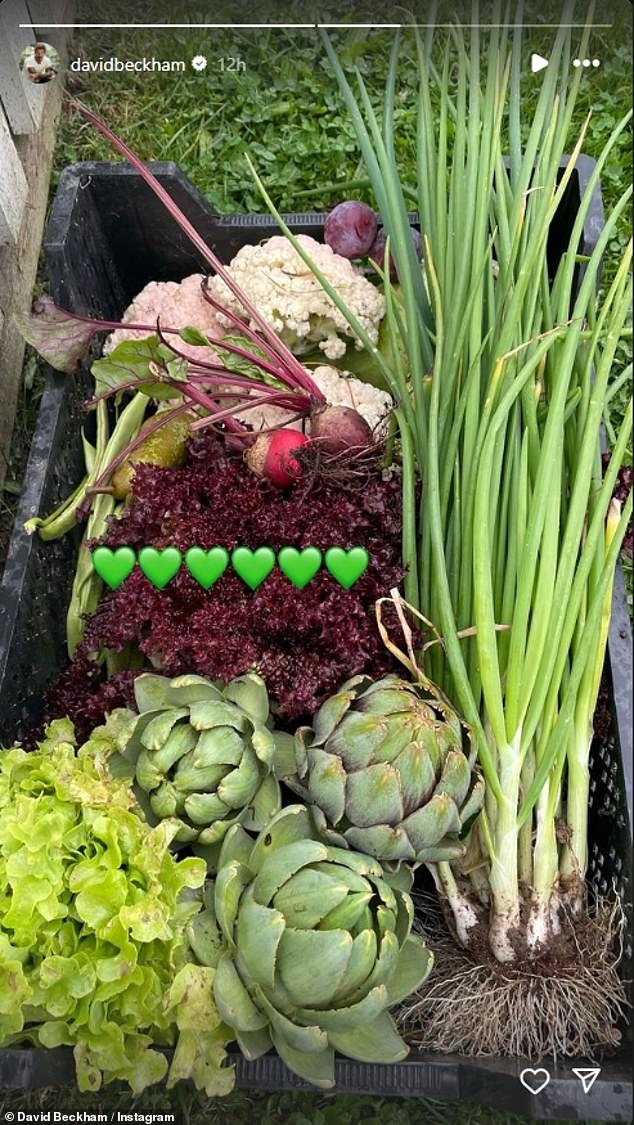 Her Instagram followers were treated to a glimpse of her bountiful harvest, with baskets filled with potatoes, kale, carrots and cauliflower.