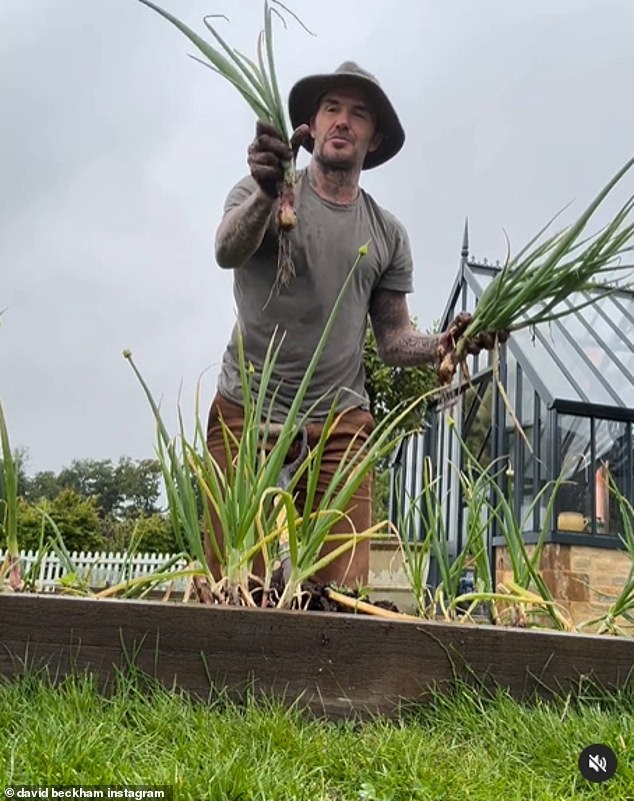 In June, David joked on Instagram that his wife Victoria, 50, would eat green onions for lunch and dinner after a successful harvest.