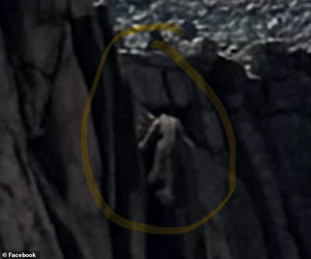 Two hikers were left stunned after coming across a terrifying 20-foot-tall figure clinging to the side of a Colorado mountain (a magnified view of the specimen is shown)