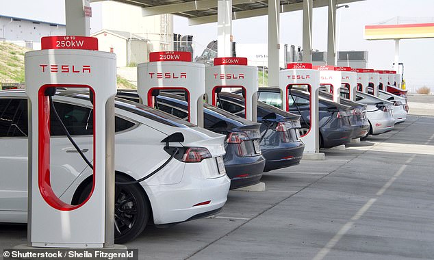 Tesla has yet to launch its robotaxis, which were due to launch in 2020 (file photo of Tesla vehicles charging)