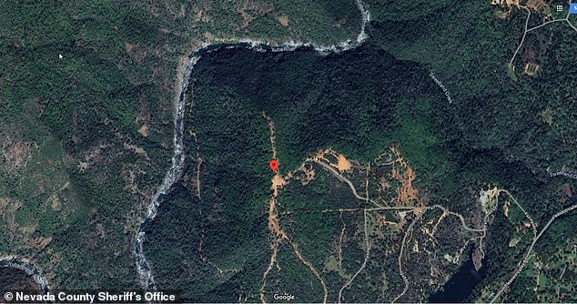 Nevada County Sheriff's Office deputies found Pineda on the edge of the canyon near the Yuba River and Sweetland Creek.