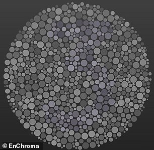 If we are missing some cone cells it is harder to distinguish shades, which would make it much harder to see the number hidden here.