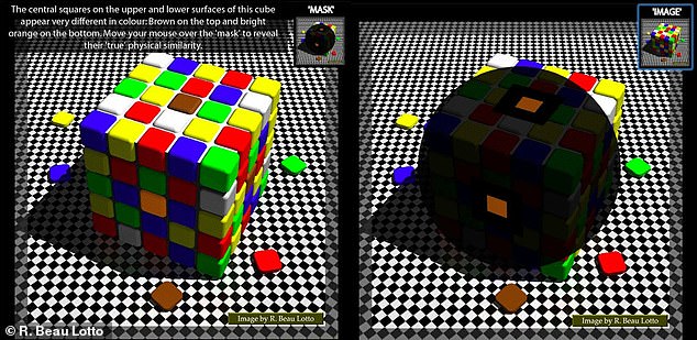 Our brain makes assumptions about how things look based on colors and expected lighting. That's why the brown square looks different on the right side. 