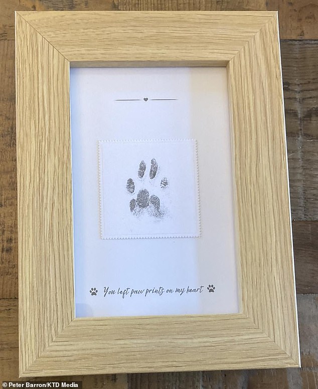 The framed paw print that Heavenly Pets Crematorium prepared for the family of the unknown cat