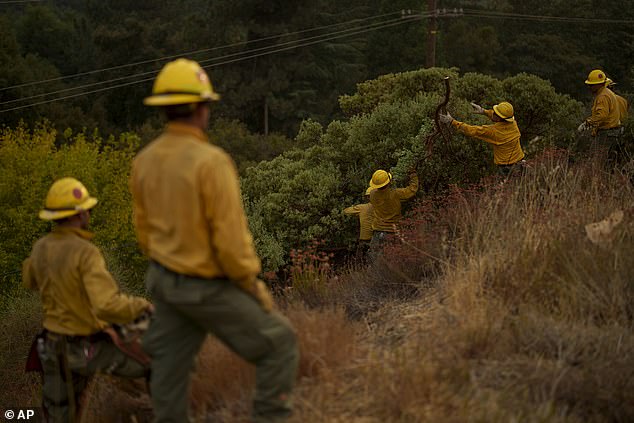 Firefighters work to combat the advancing Line Fire in Mentone, California