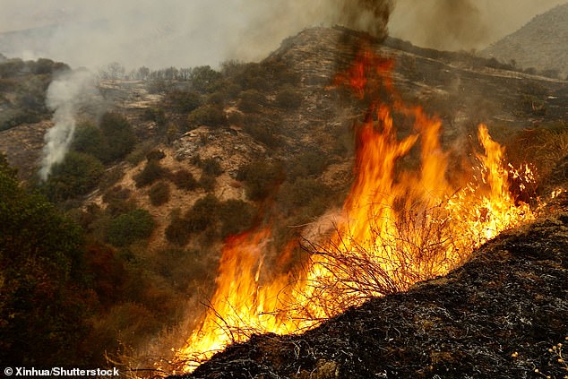 Hundreds of firefighters are battling a fast-spreading wildfire amid high temperatures in San Bernardino County that grew to 1,180 acres (about 4.8 square kilometers) in 24 hours.