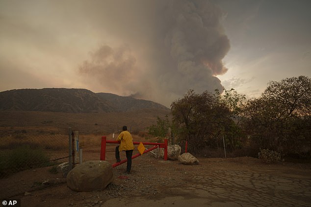 A member of a fire brigade team with an excavator watches the progress of the Line fire in Mentone