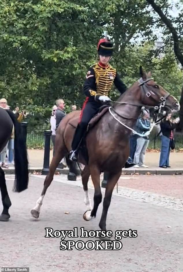 The horse broke out of formation and seemed to be heading toward the source of the noise.