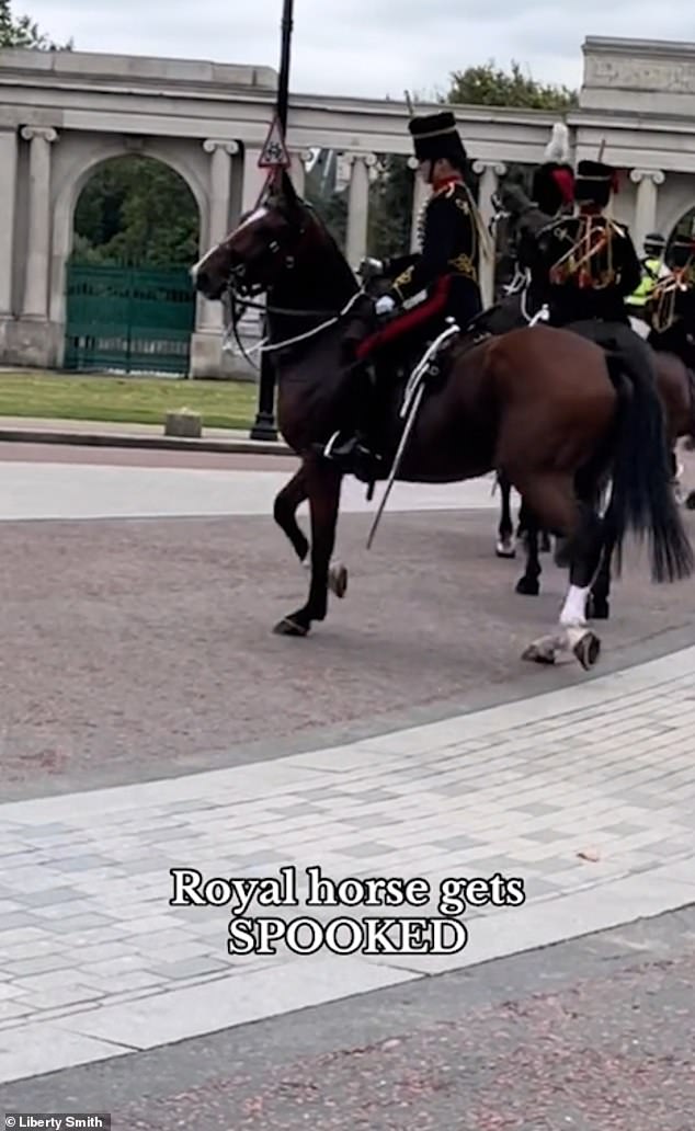 The mounted soldier remained calm as he attempted to bring his horse back into line.