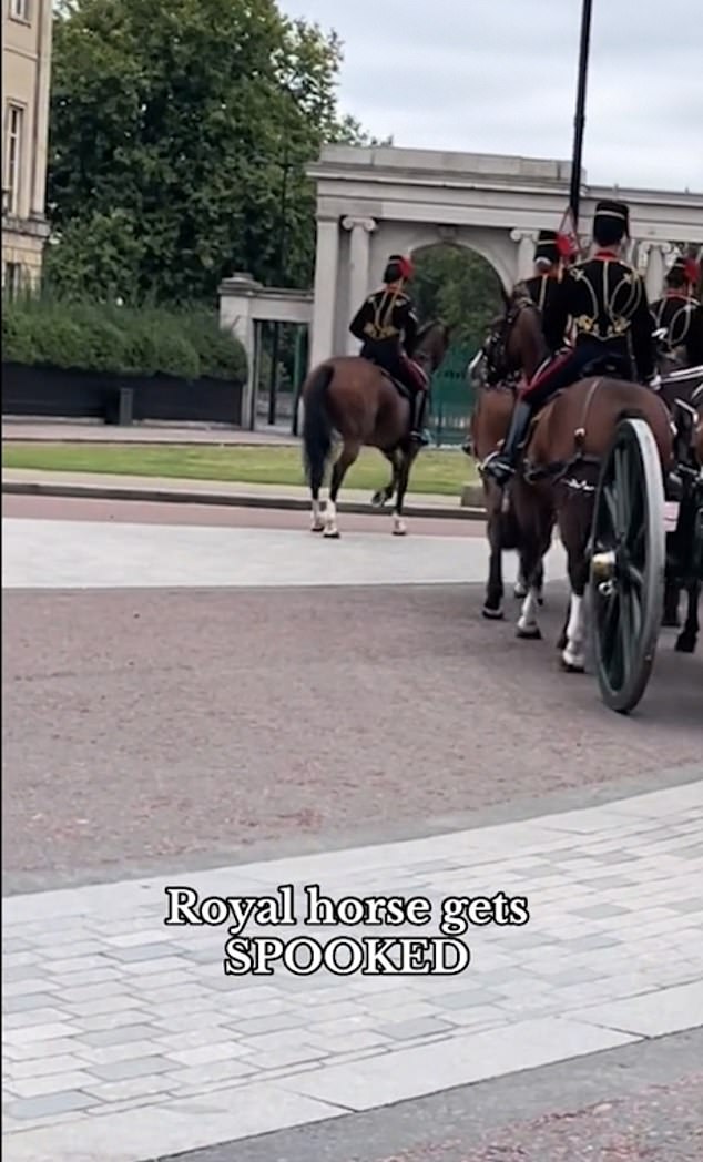 By the time the procession reached Apsley Gate in Hyde Park, the horse was back in formation.