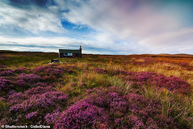 Peter's love of the Hebrides was reinforced by the sight of a 