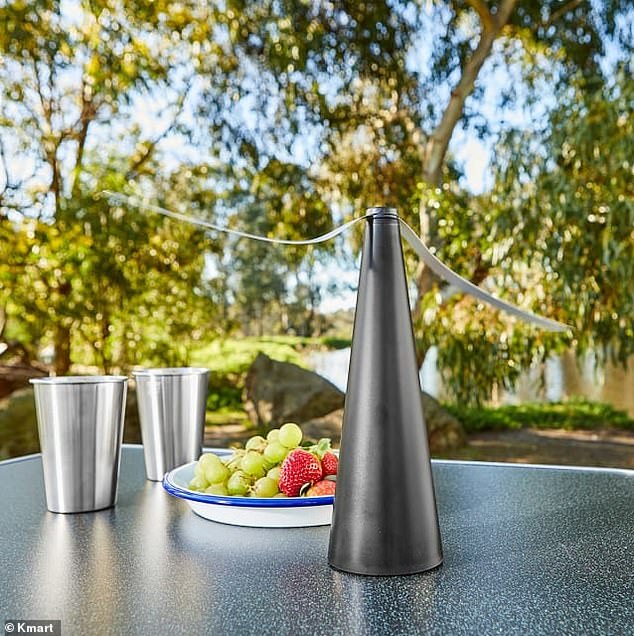 The Fly Repellent Fan, $5.50 at Kmart, is a powerful, battery-operated fan that will drive flies away from outdoor barbecues with minimal noise.