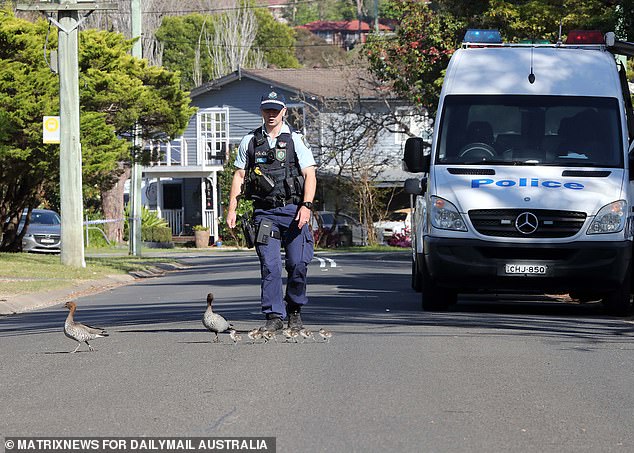 Blue Mountains Commander John Nelson said local officers were receiving assistance from detectives from the State Crime Command's homicide squad.