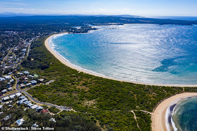 The door crashed to the ground with a thud and a creak, falling into the bushes behind the sand and 20 metres from the fisherman (pictured, South Broulee Beach, on the New South Wales south coast)