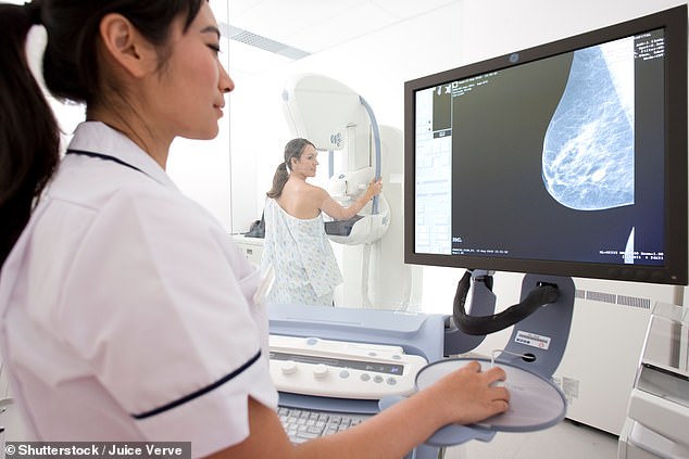 Women with the faulty BRCA1 gene mutation have a lifetime risk of breast cancer of up to 85 percent - about six times higher than the average risk of the disease for all British women of about 14 percent. File image