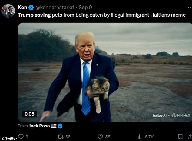 Ever since Elon Musk launched 'Grok-2', an AI-generated platform available through X, users have been making memes of Trump saving animals from 'being eaten by Haitian immigrants'