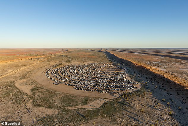 Birdsville Big Red Bash hosted a successful festival this year with 14,000 attendees and a packed entertainment programme.