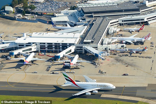 It is also expected to increase competition in a diluted international flights market and help drive down prices for Australians looking to travel to Europe (pictured, Sydney Airport).