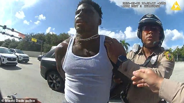 After the Dolphins wide receiver was placed in handcuffs, he told officers: 'Take me to jail.'