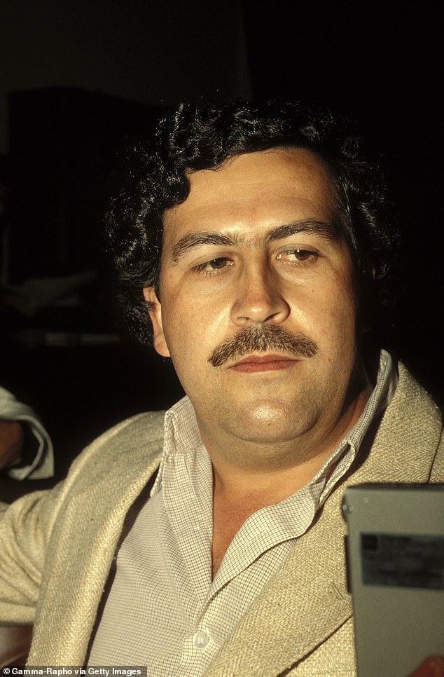 When Escobar (pictured) was killed in a police shootout in Medellin in 1993, authorities left four hippos behind, deeming them too difficult to capture, but numbers have since soared.