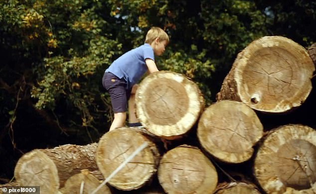 The young prince climbing logs in the recent video