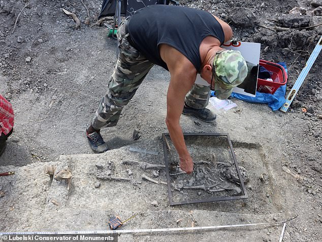 Pawel Wira, from the Conservator of Monuments, said: 'A burial with the face pressed into the ground, cutting off the head or placing stones on the body are some of the burial methods used to prevent a person considered a demonic entity from leaving the grave.'