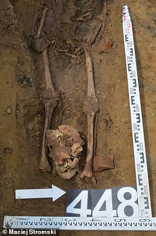 Skeleton 448 of 450 discovered in village of Luzino, northeastern Poland