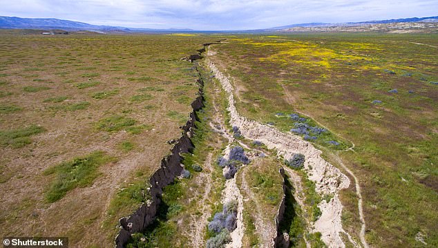 Seismologist Lucy Jones said the recent surge in seismic activity in Southern California is not a sign that the San Andreas fault is about to burst.