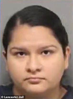 Along with Scheich, Angela Navarro, 23, was also arrested by police in September of last year, after authorities suspected that she helped Scheich enroll in the two schools by posing as her 