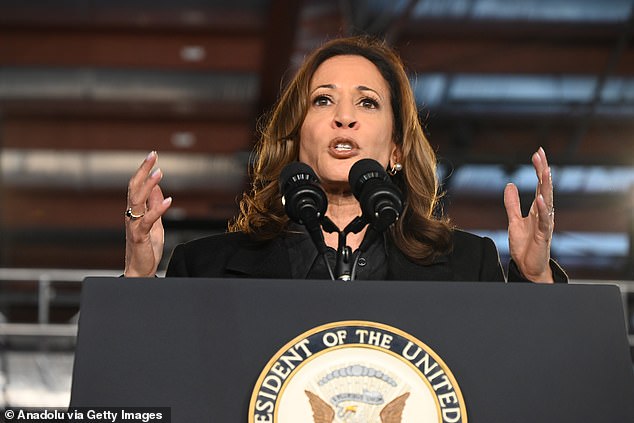 The current border crisis has become a topic of central conversation in the current race for the White House between Kamala Harris and former president Donald Trump.