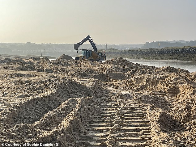 When MailOnline visited the site this week, we witnessed giant excavators scooping up tonnes of sand from the shore before loading it onto large earth-moving equipment.