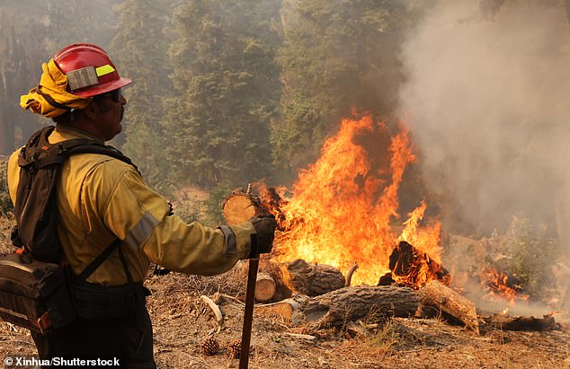 The fire destroyed at least 33 homes in the Wrightwood and Mt. Baldy areas, and firefighters have now been able to achieve three percent containment, compared with several days when there was no containment at all.