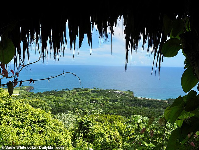 One morning, Sadie embarked on a sweaty trek through the jungle to a treehouse-like structure for breakfast.