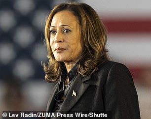 Acting Vice President Kamala Harris is the Democratic presidential nominee for 2024