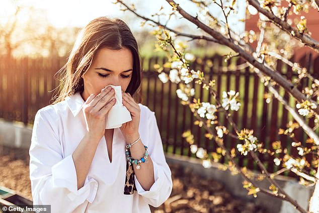 Immunotherapy could be a useful treatment for hay fever (photo taken by model)