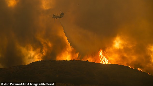 Firefighters have been working 28-hour shifts to try to contain the terrible flames.