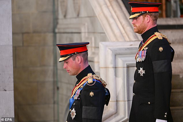 Prince Harry, who wears military uniform for the first time as a non-working royal, follows his brother