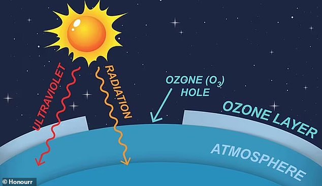 Ozone that accumulates in the stratosphere normally absorbs almost all of the radiation coming from the sun.